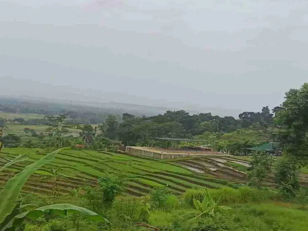 dijual tanah murah,view cantik.lokasi pendoworejo,girimulyo