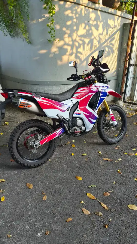 Crf 250 Rally (upgrade 300)