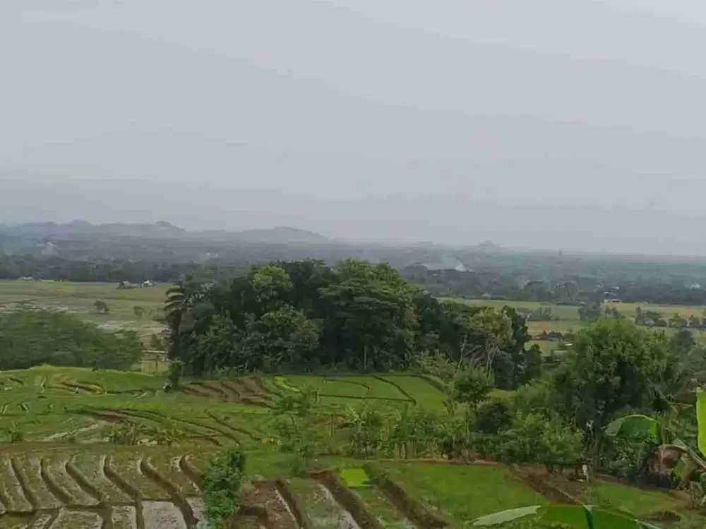 dijual tanah murah,view hamparan sawah istimewa.