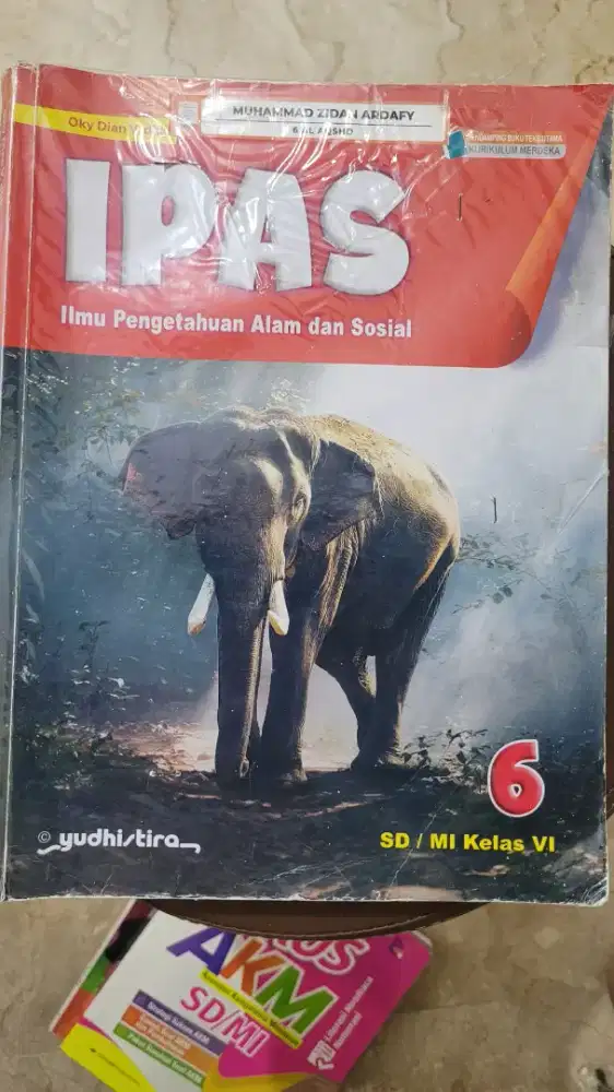 Ipas level 6 yudhistira