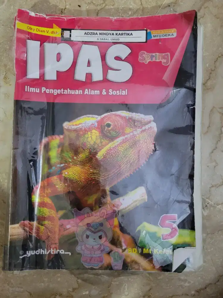 Ipas level 5 yudhistira