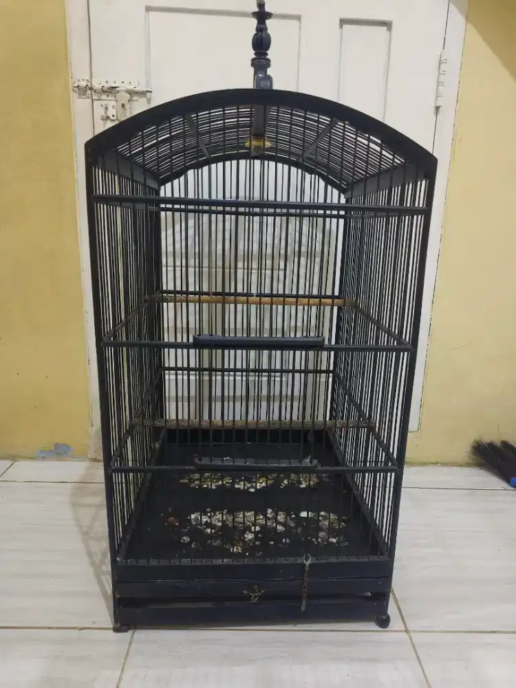 Kandang kontak no1