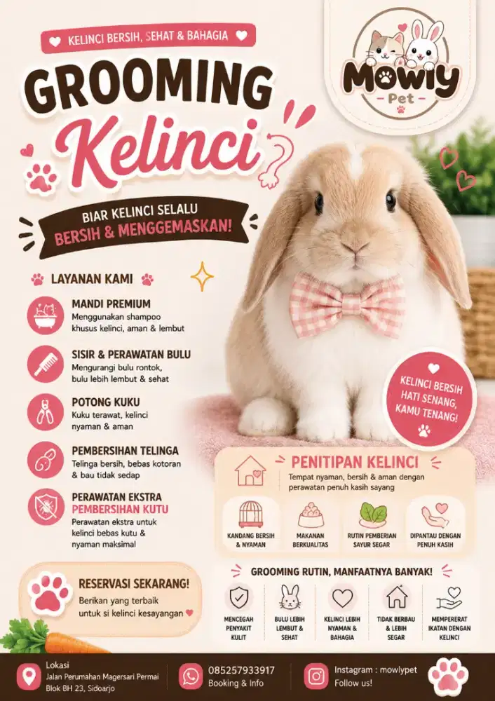 Jasa Grooming Kelinci