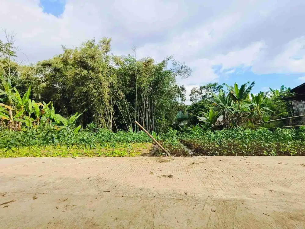 tanah dijual area wisata tawangmangu