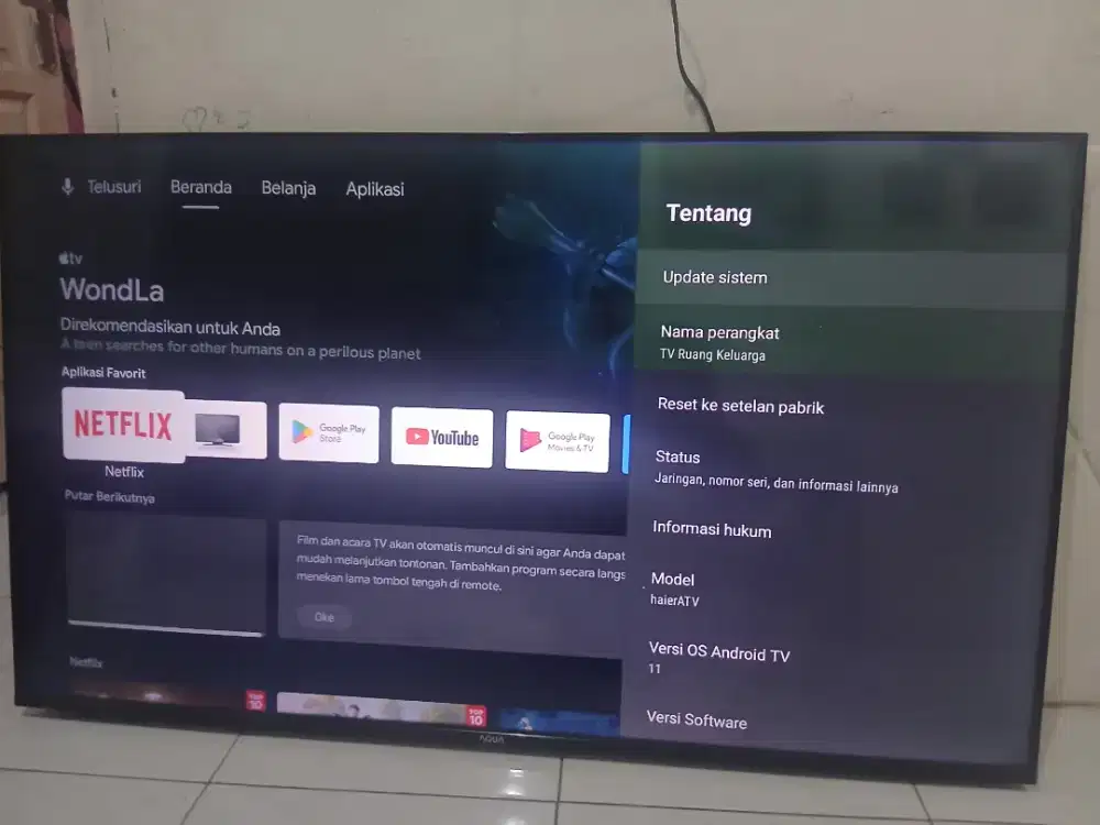 AQUA TV 55INCH LE55AQT6600 (TV RUSAK)