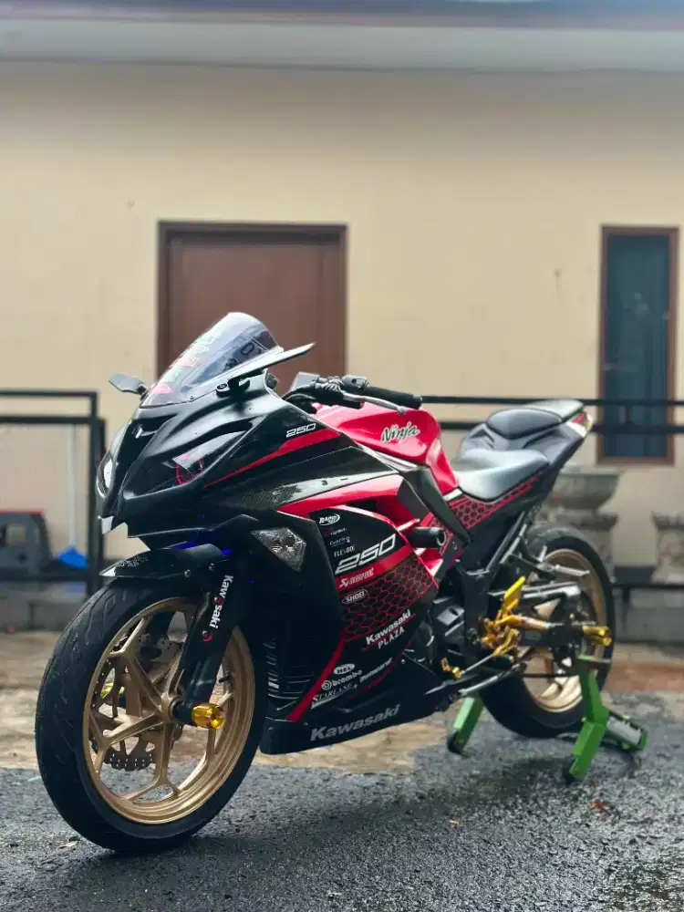 Kawasaki Ninja 250 fi 2slinder 2013