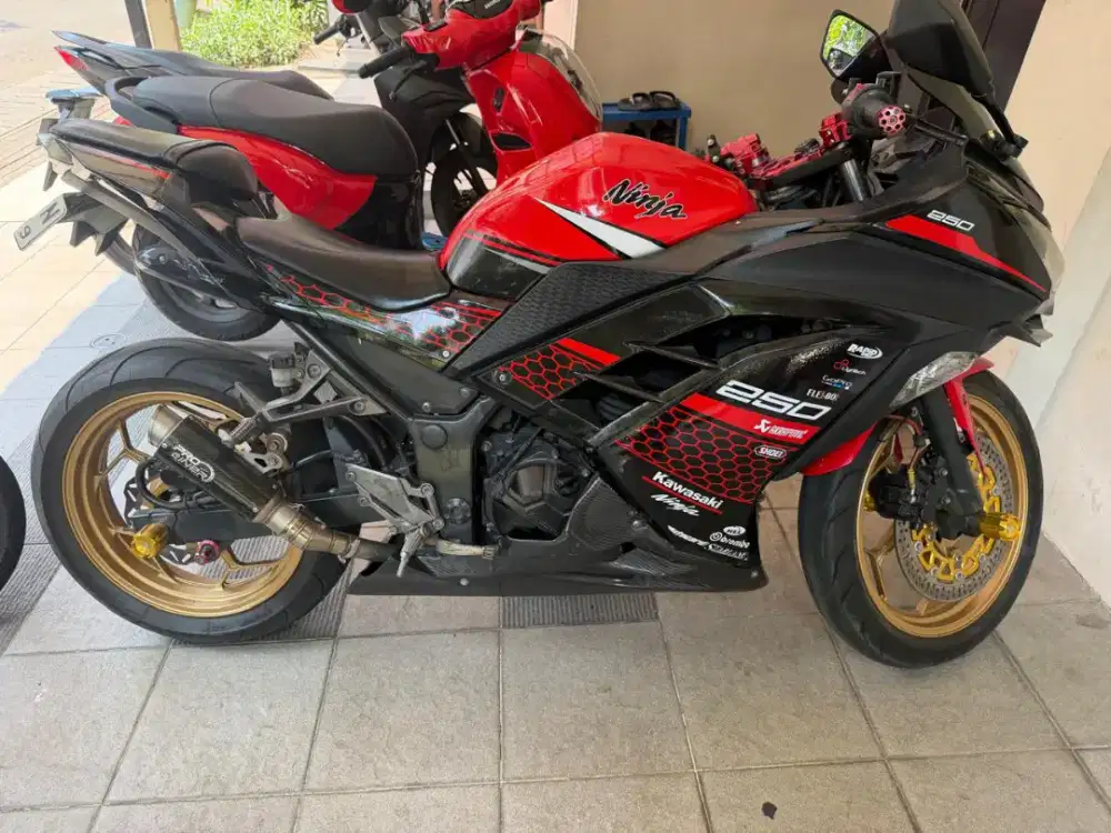 Ninja ex 2015 250