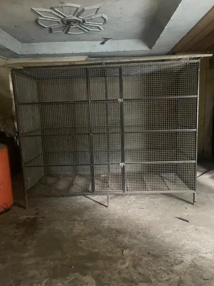 Kandang burung dan kucing