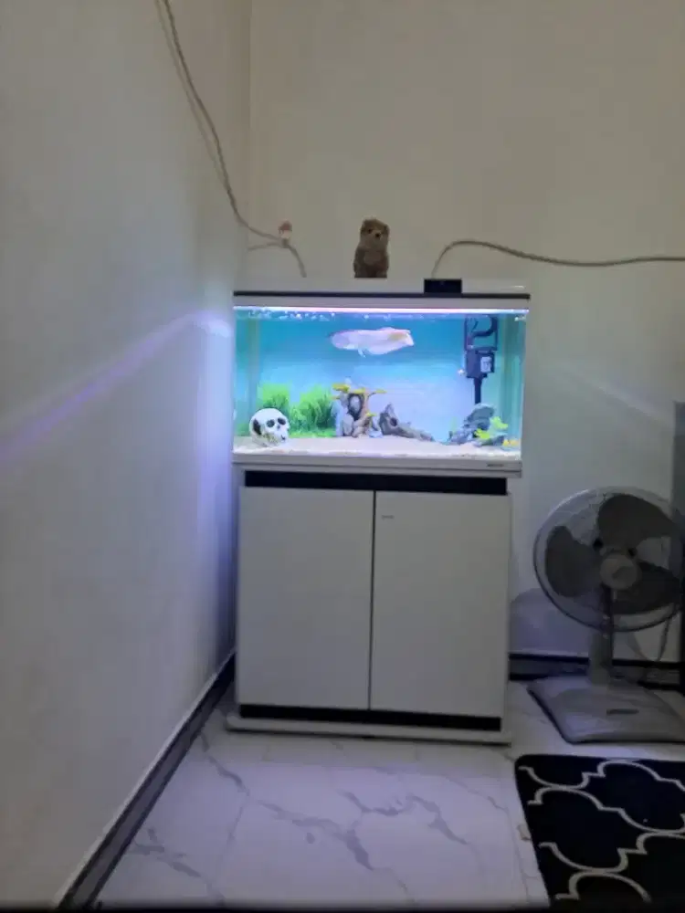 Aquarium boyu xf 80
