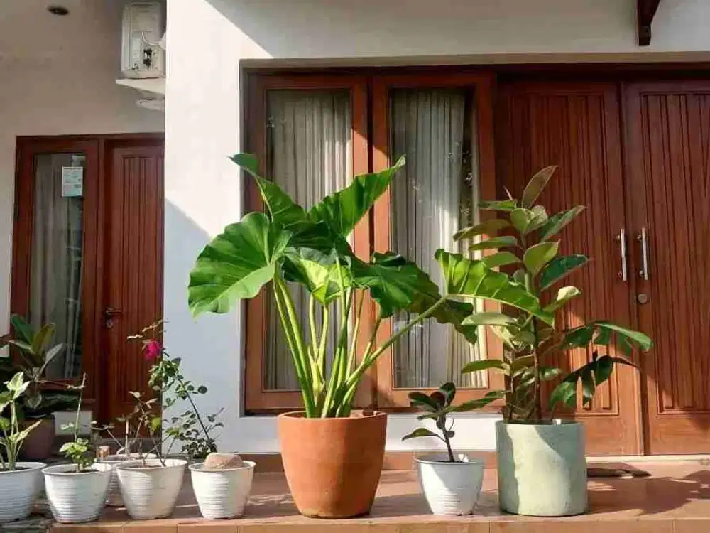 Graha Raya Bintaro Tangerang Selatan Siap Huni