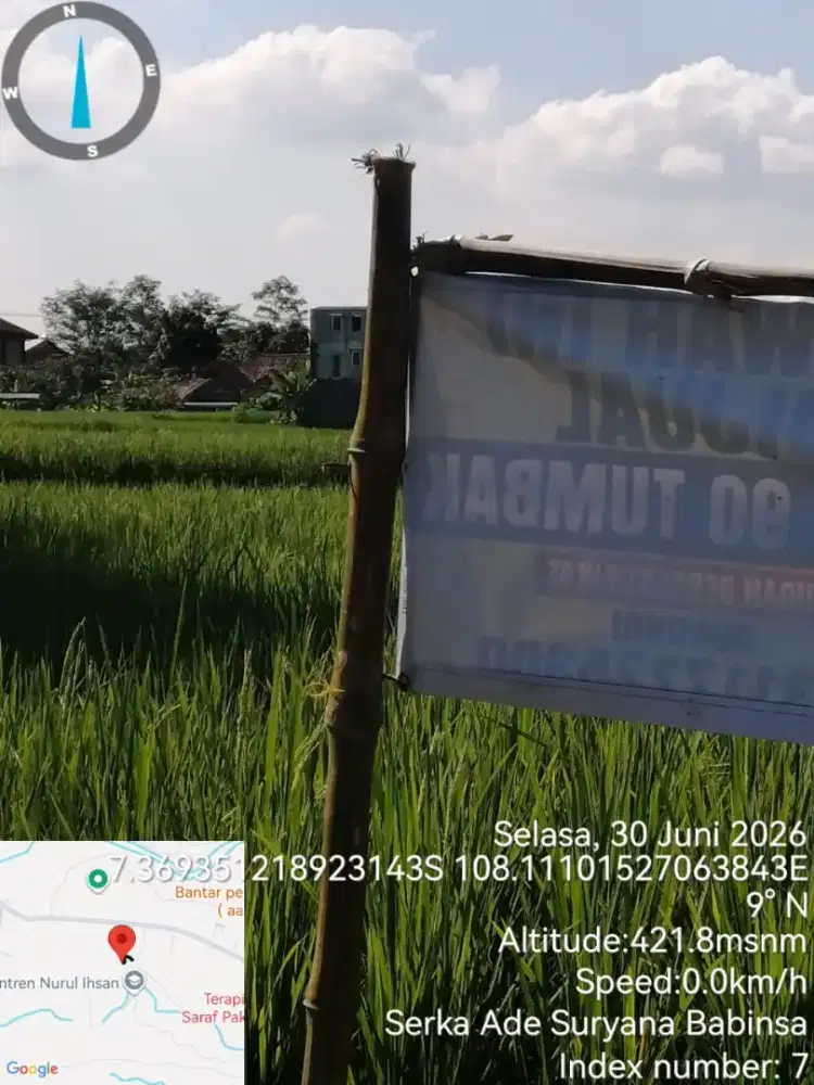 Di Jual sawah tenjolaya, singaparna, tasikmalaya