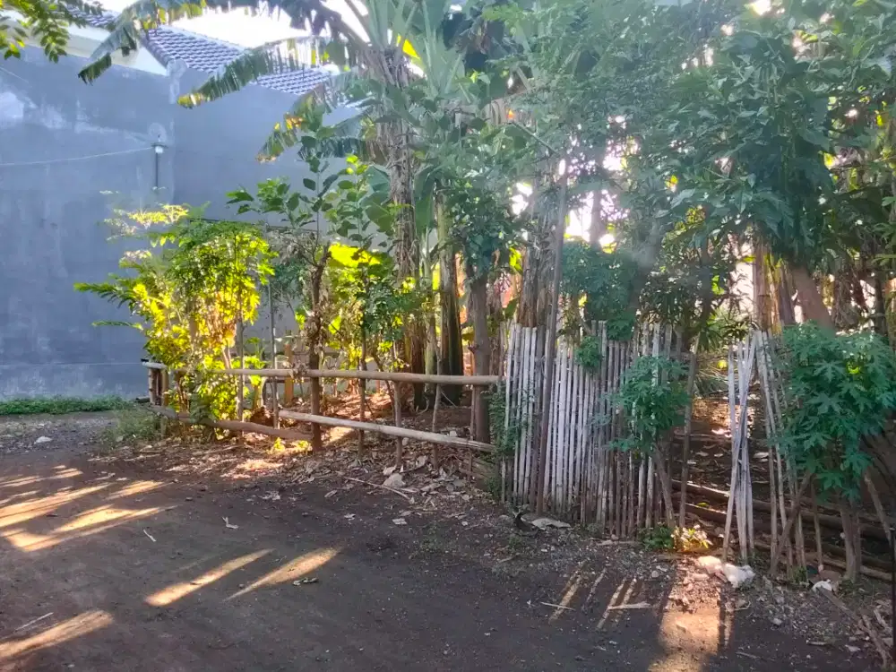 Dijual Tanah Cepat