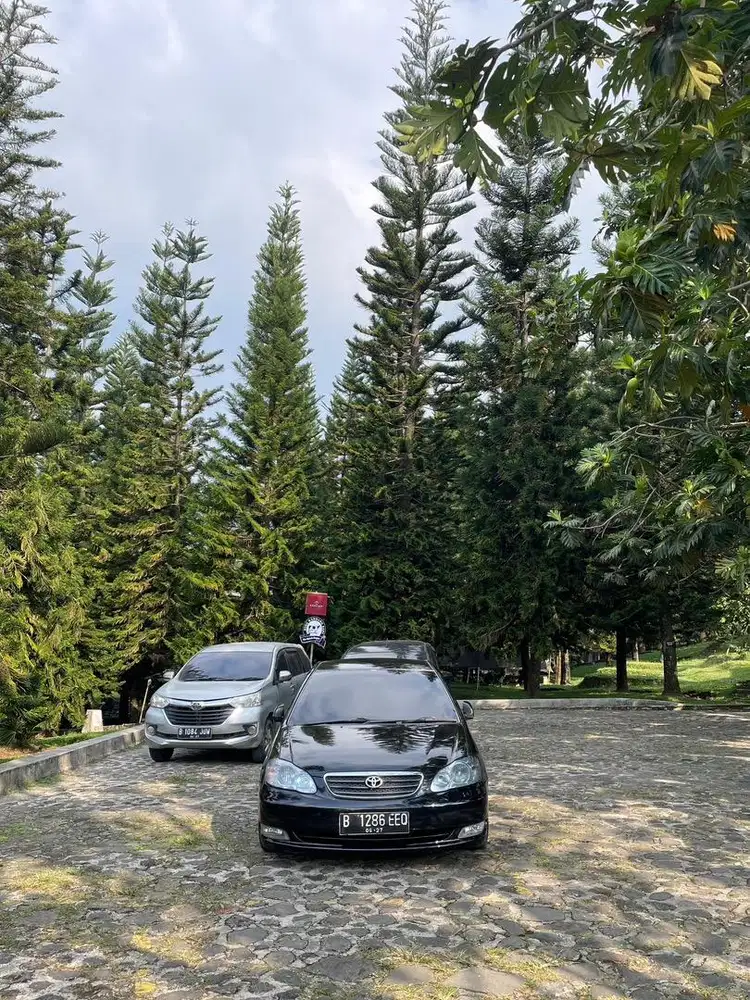 Toyota Corolla Altis 2004 Bensin
