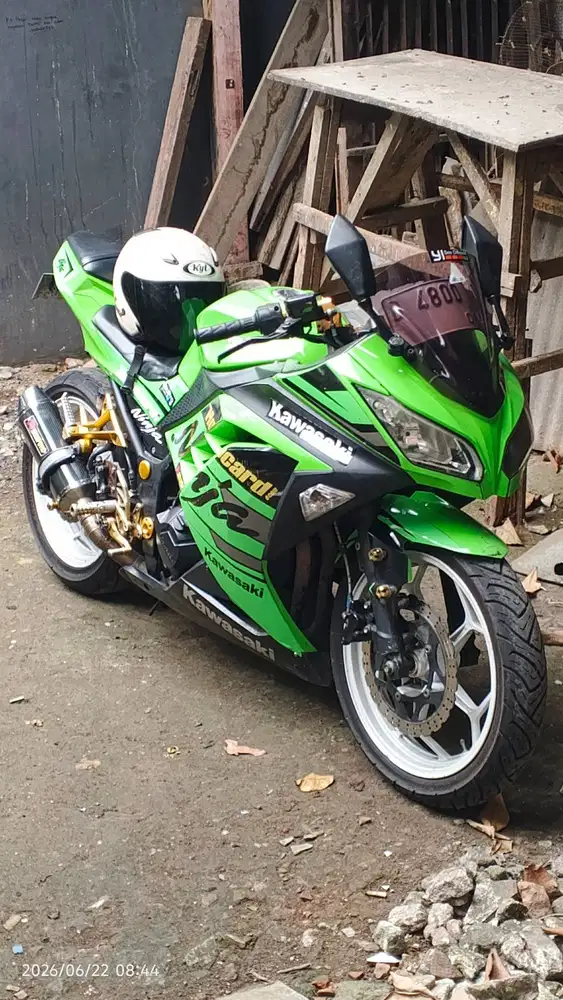 Kawasaki Ninja fi 250
