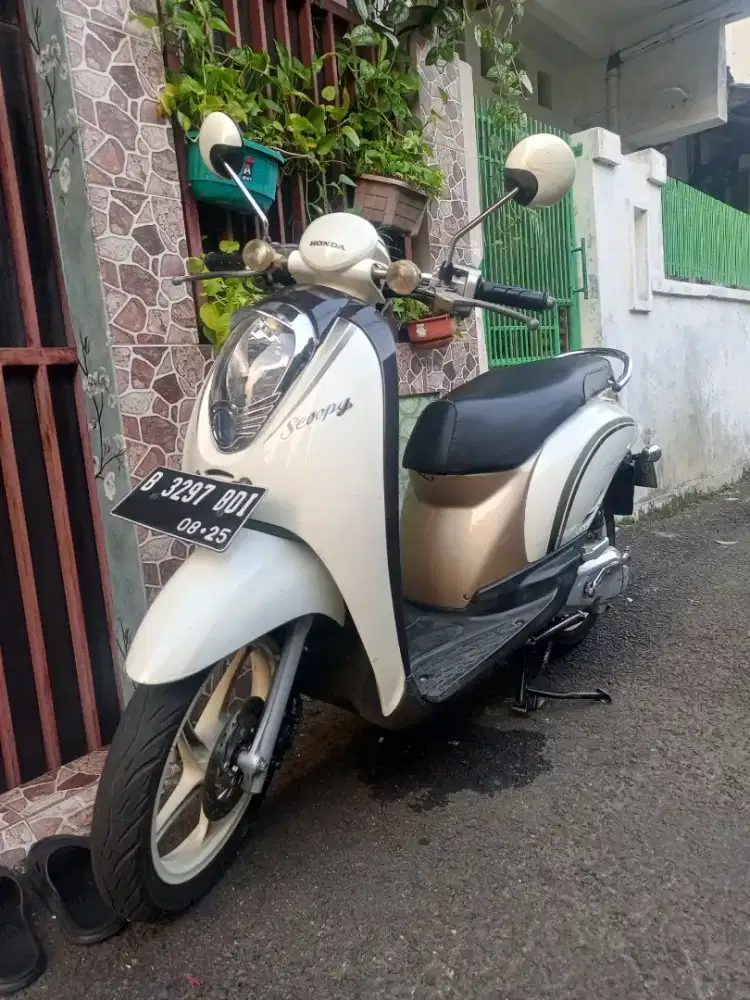 Honda Scoopy tahun 2010