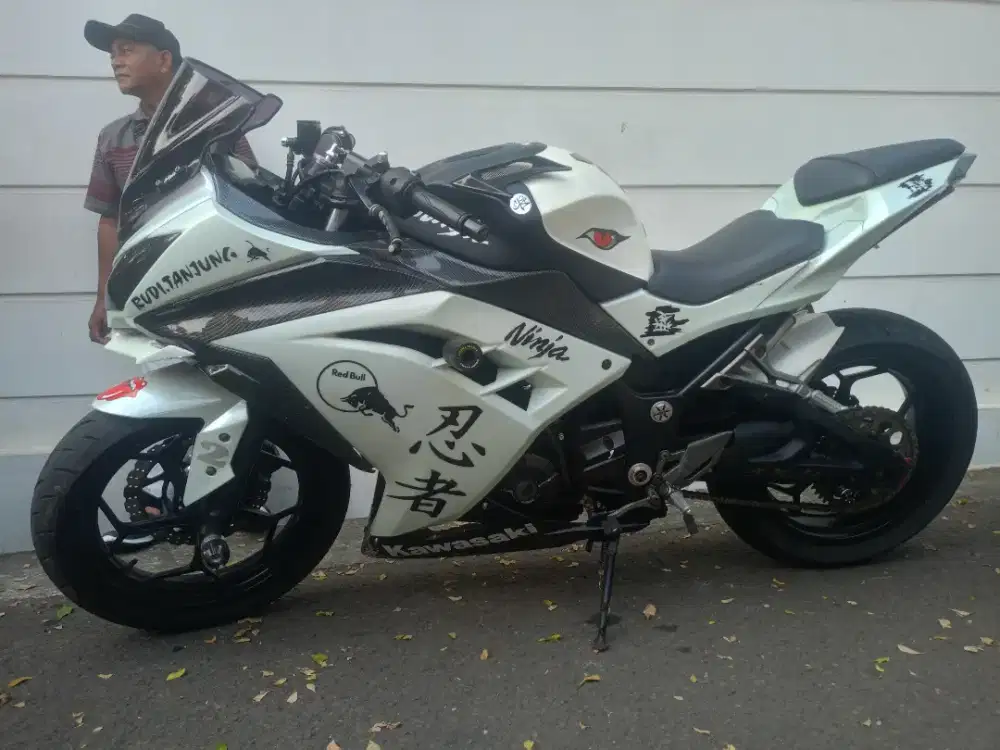 Kawasaki Ninja FI 250