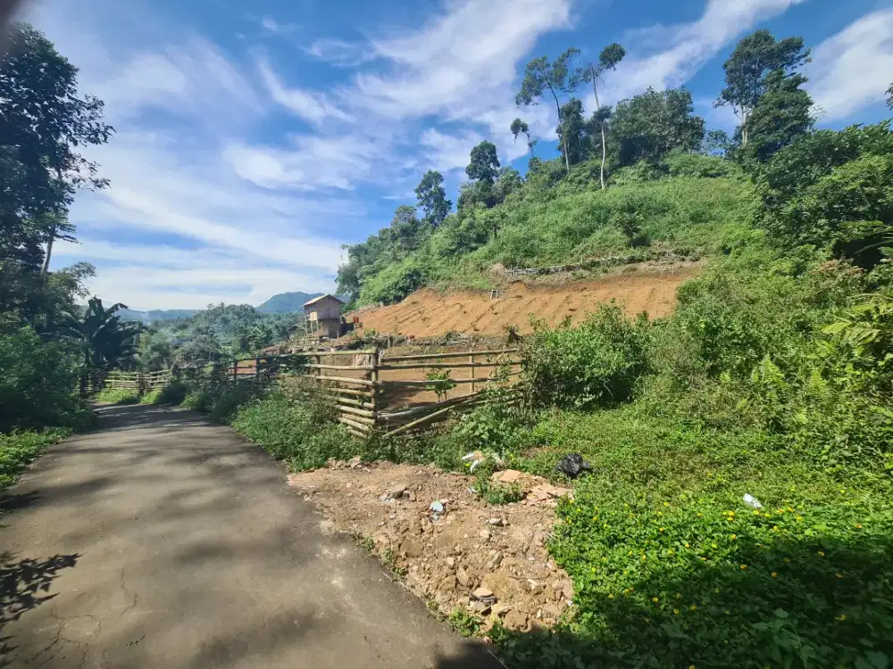 Kebun indah view sawah