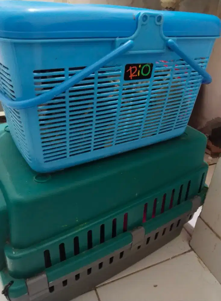 1 Pet Cargo & 1 Keranjang Rio