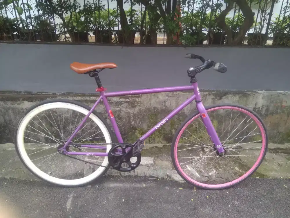 Fixie Brain Atales