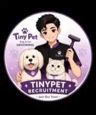 Dicari Groomer /Memandikan Kucing & Doggy Panggilan