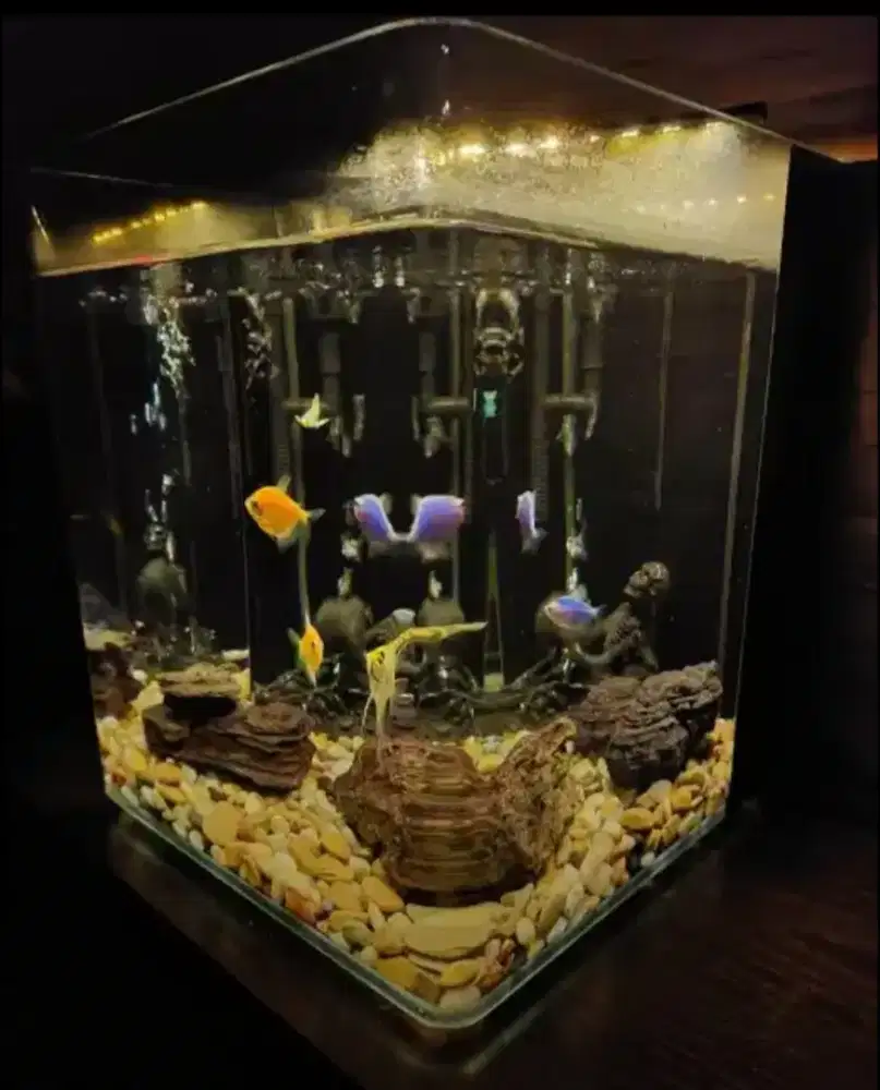 AQUARIUM LENGKAP PERALATAN