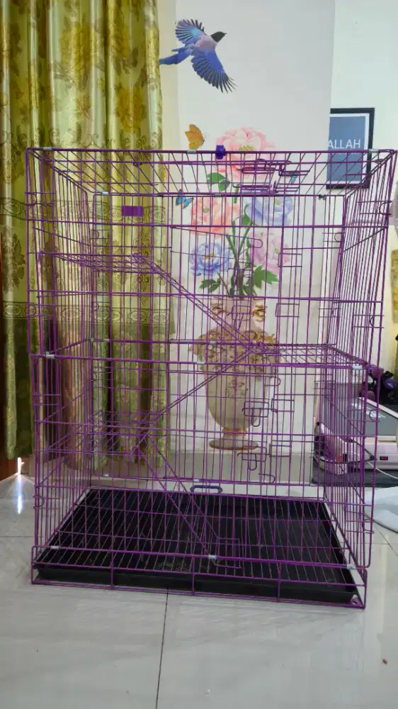 Kandang Kucing lipat