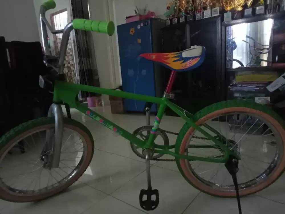 BMX Golden Eagle