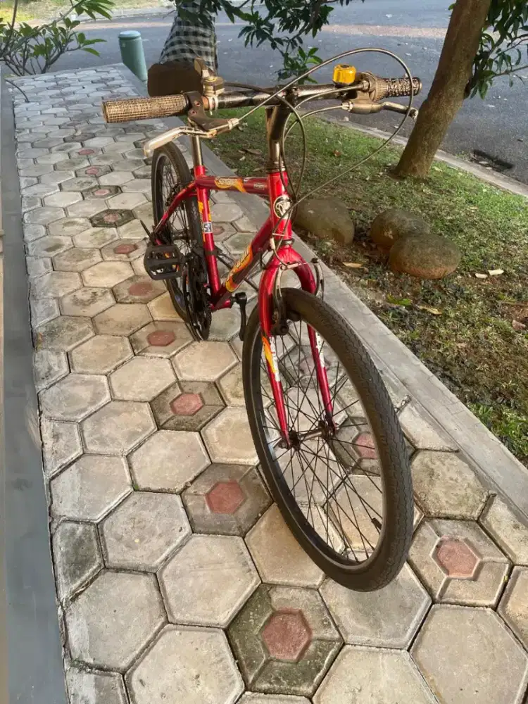 Sepeda MTB Polygon Sentana Uk 24