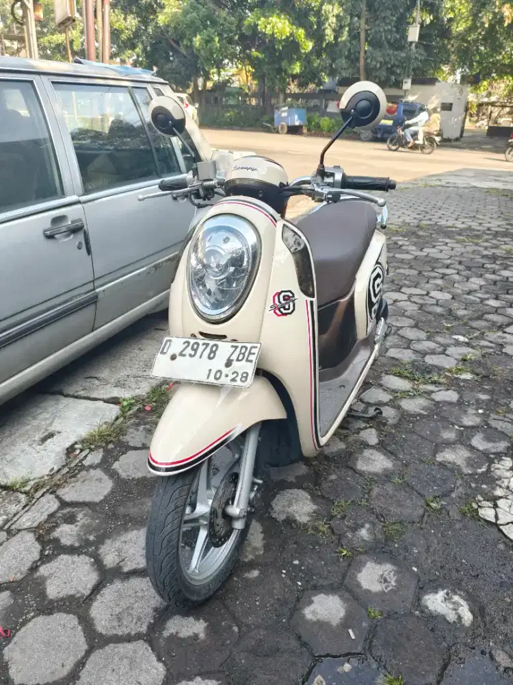 Scoopy 203 stylish
