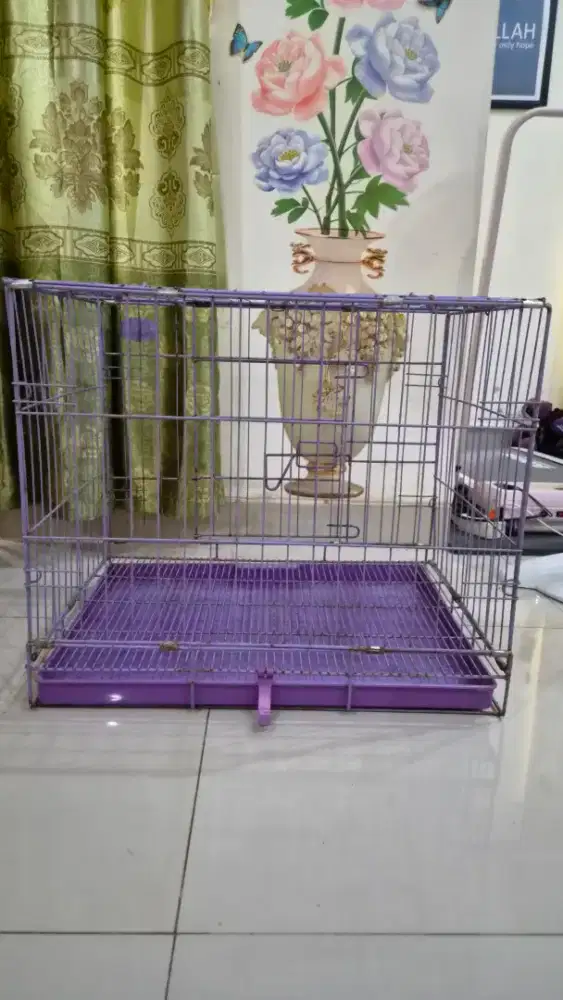 Kandang kucing lipat nego sampai jadi Bonus tenda kucing