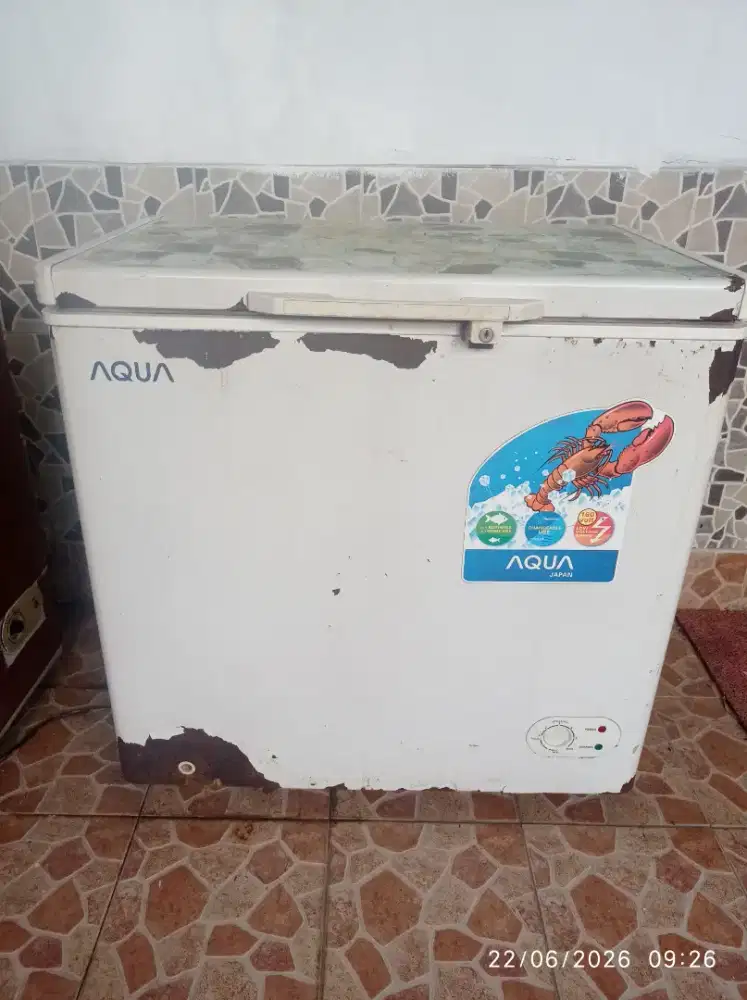 Freezer box AQUA 160 LT