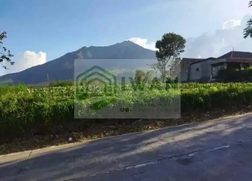 Tanah Murah Kawasan Wisata Ada View Gunung Hadap Jalan Raya Provinsi
