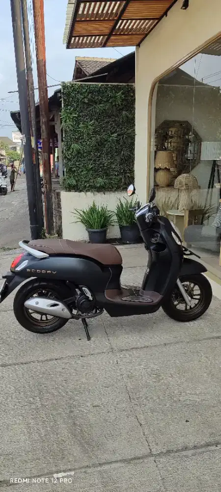 Honda Scoopy Prestige thn 2024