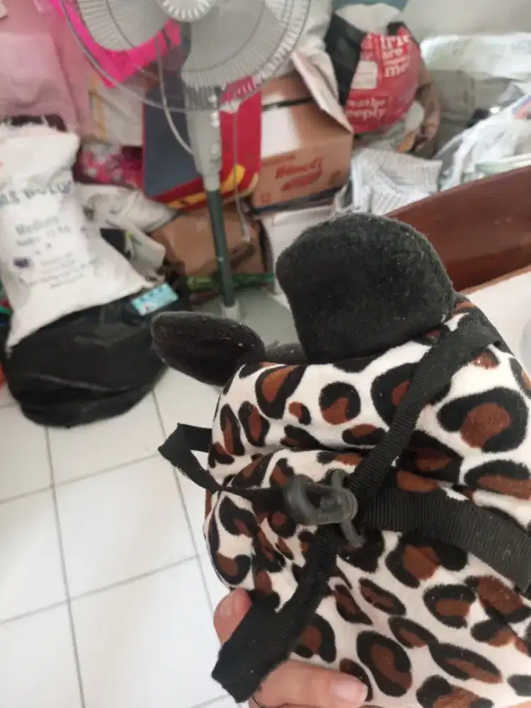 Kantong untuk sugar glider