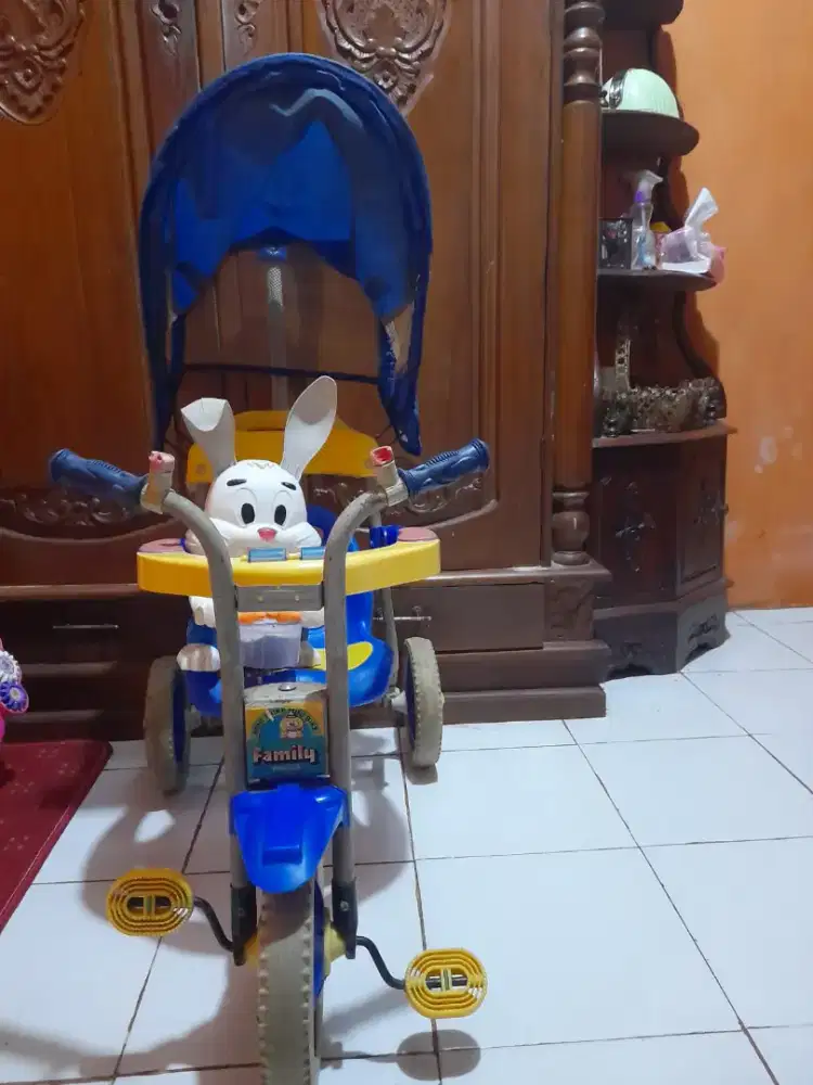 Sepeda Roda Tiga Anak