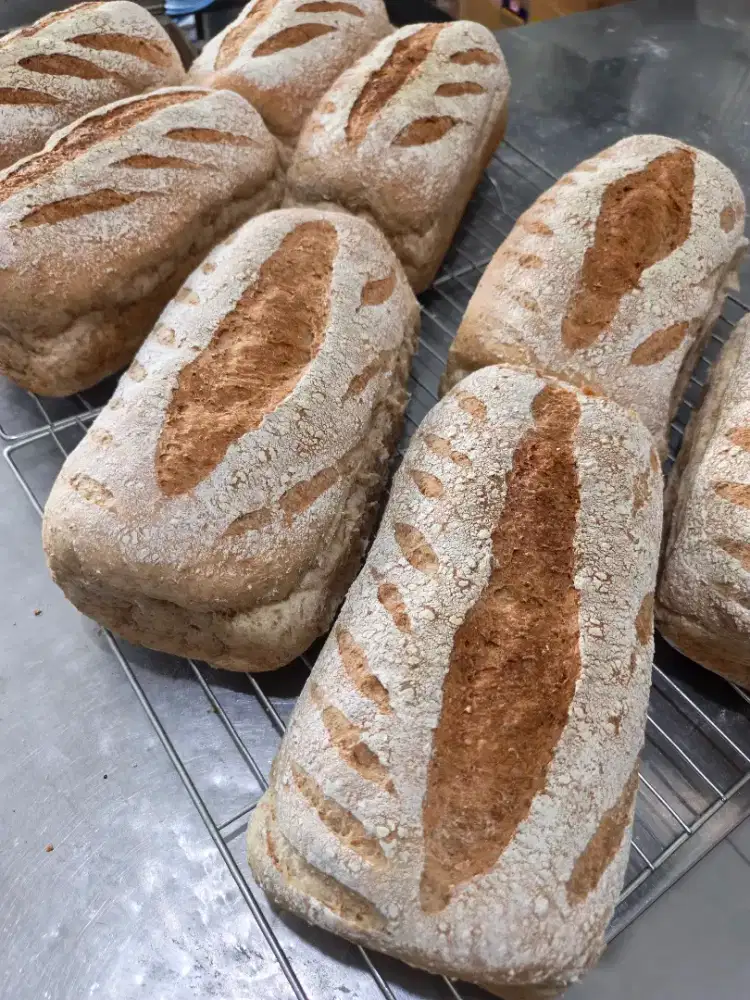 Dibutuhkan Baker Junior