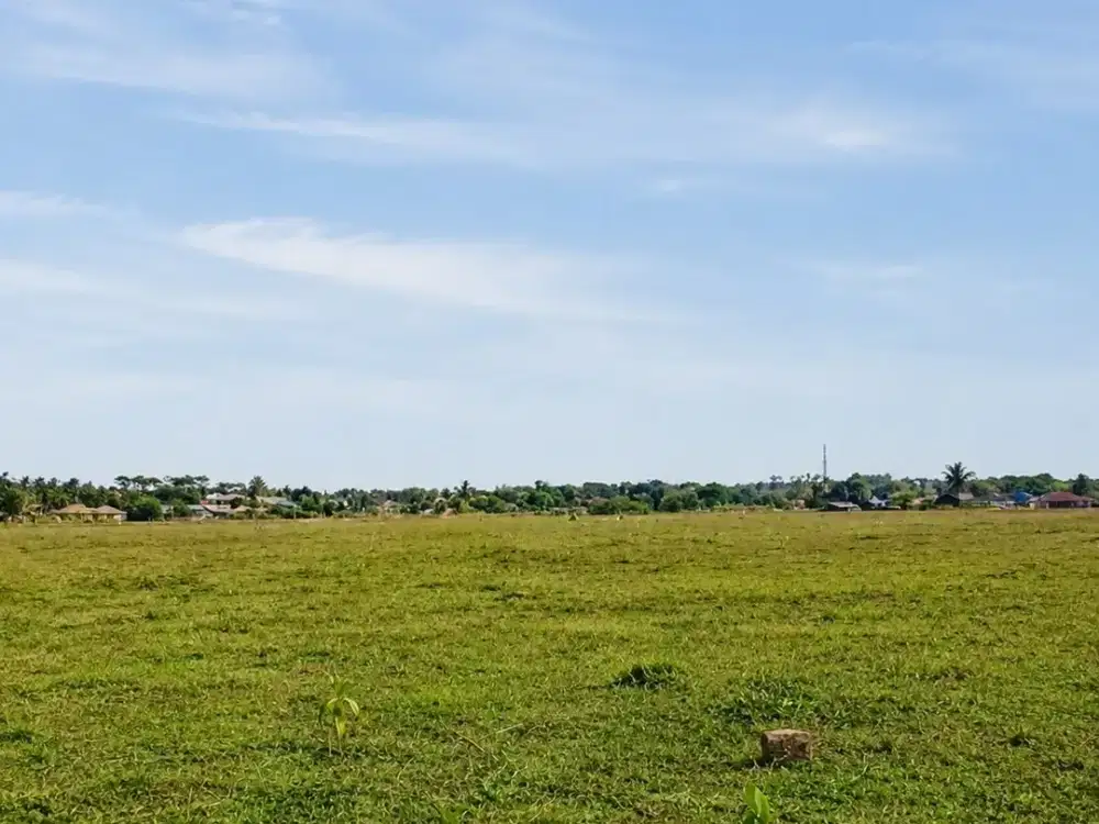 Rare Listing! Tanah Industri Tigaraksa Hadap Utara, Bisa Beli Per Hektare