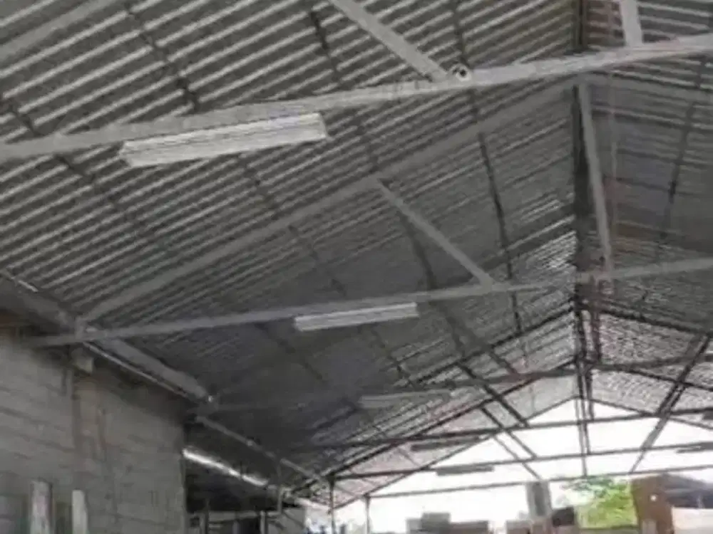 Disewakan Gudang Workshop Murah di Jl. Perternakan Poglar Angke Kapuk Jakarta Barat