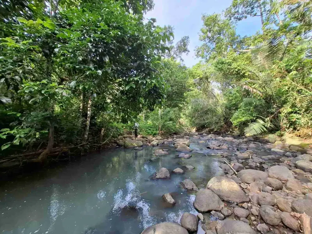 Dijual tanah murah los sungai dekat villa di bali