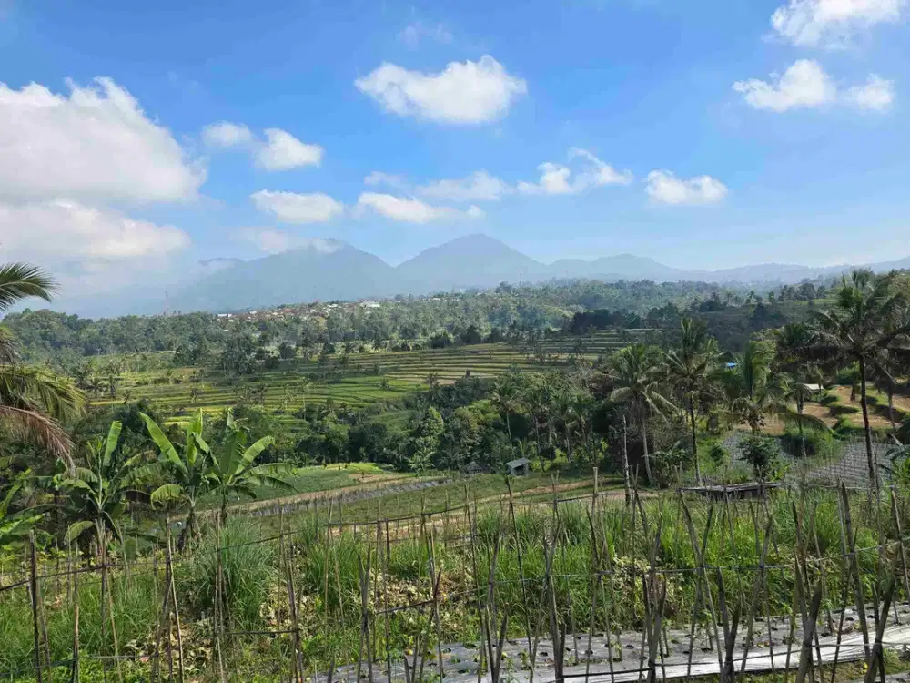 Dijual tanah murah view gunung sawah terasering dan lembah di tabanan bali