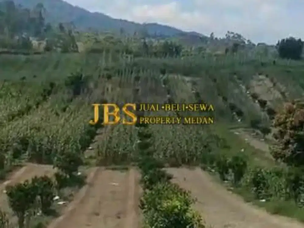 Jual Tanah Daerah Simalungun Desa Tiga Urung - Butu Bayu Pane Raja  Kec. Dolok Pardamean