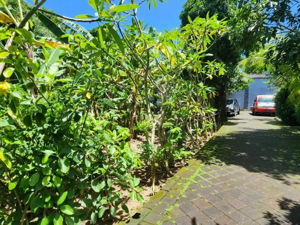 Tanah Cantik Premium 8 Are Dijual di Benoa, Nusa Dua Area