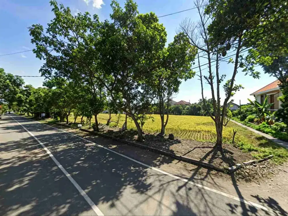 TANAH LOKASI SULFAT COCOK UNTUK DI BANGUN PERUMAHAN