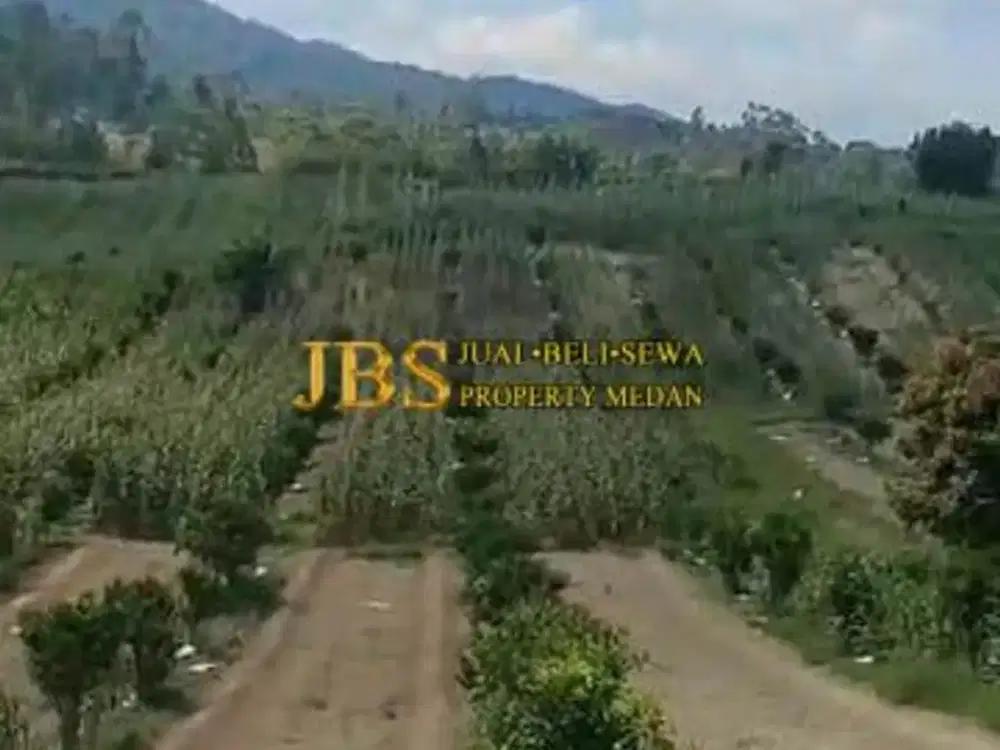 Dijual Tanah Daerah Simalungun Desa Tiga Urung - Butu Bayu Pane Raja Kec. Dolok Pardamean