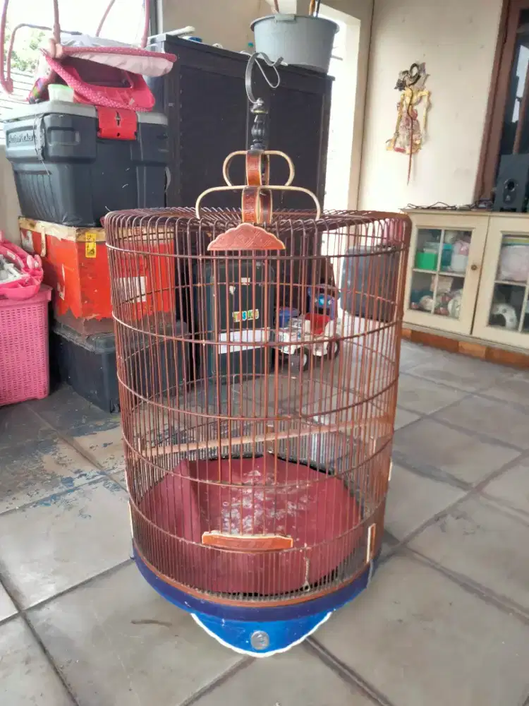 Kandang murai Ebod no minus murah