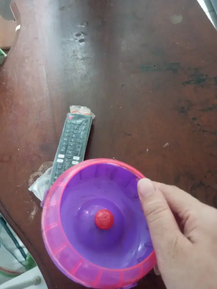 Tempat untuk main hamster