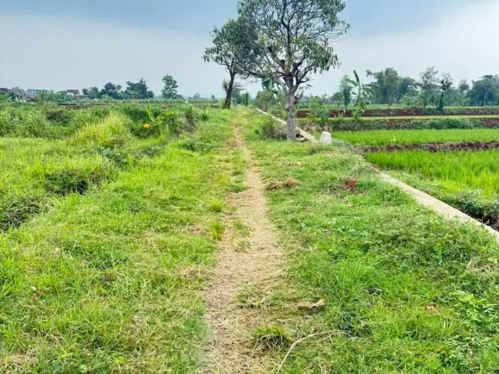 Jarang Ada Dijual Tanah di Kertosari Purwosari Kab Pasuruan (OS,DN)