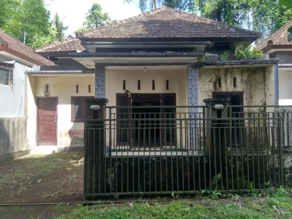 Dijual Rumah Rp 250 jt di Tabanan - Bali