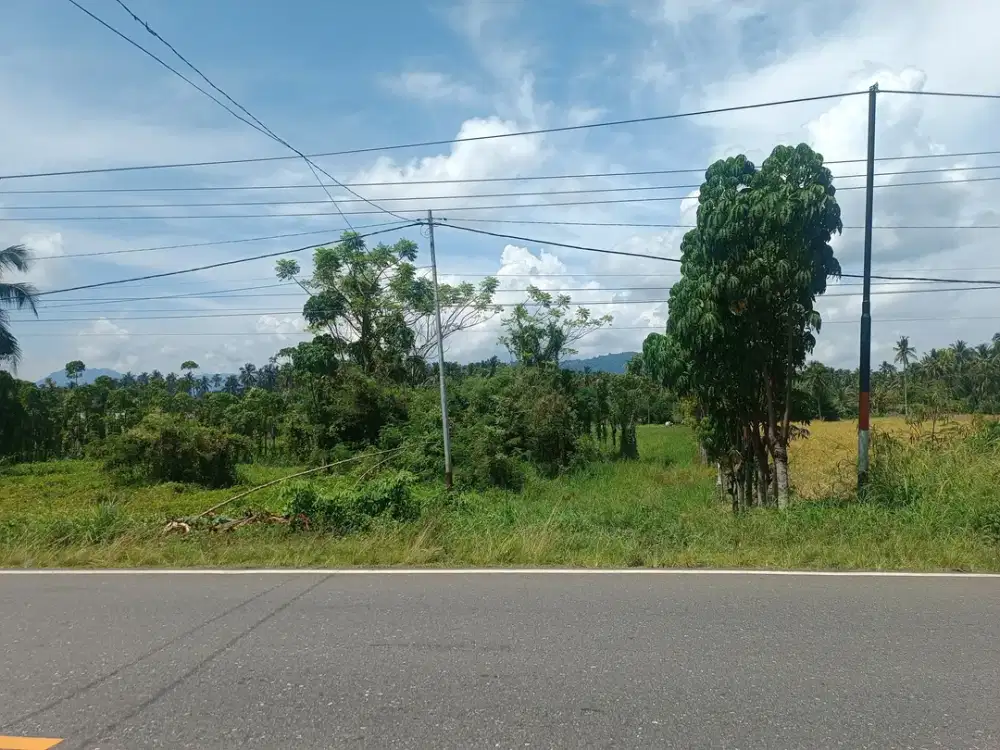 Dijual Tanah Seluas 9.758 m2 Seharga Rp 167 jt di Bolaang Mongondow