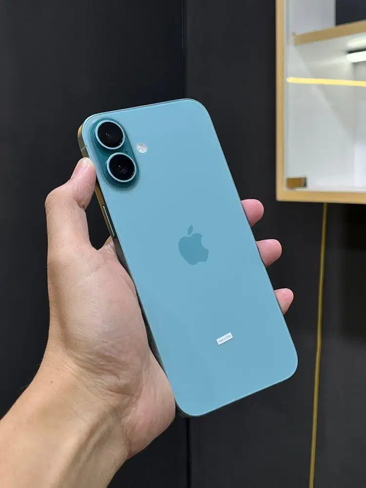 iPhone 16 Plus 128 Gb Teal